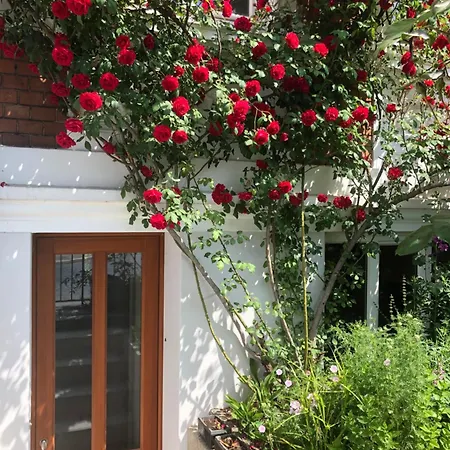 Bremerraumnatur Appartement BRE
